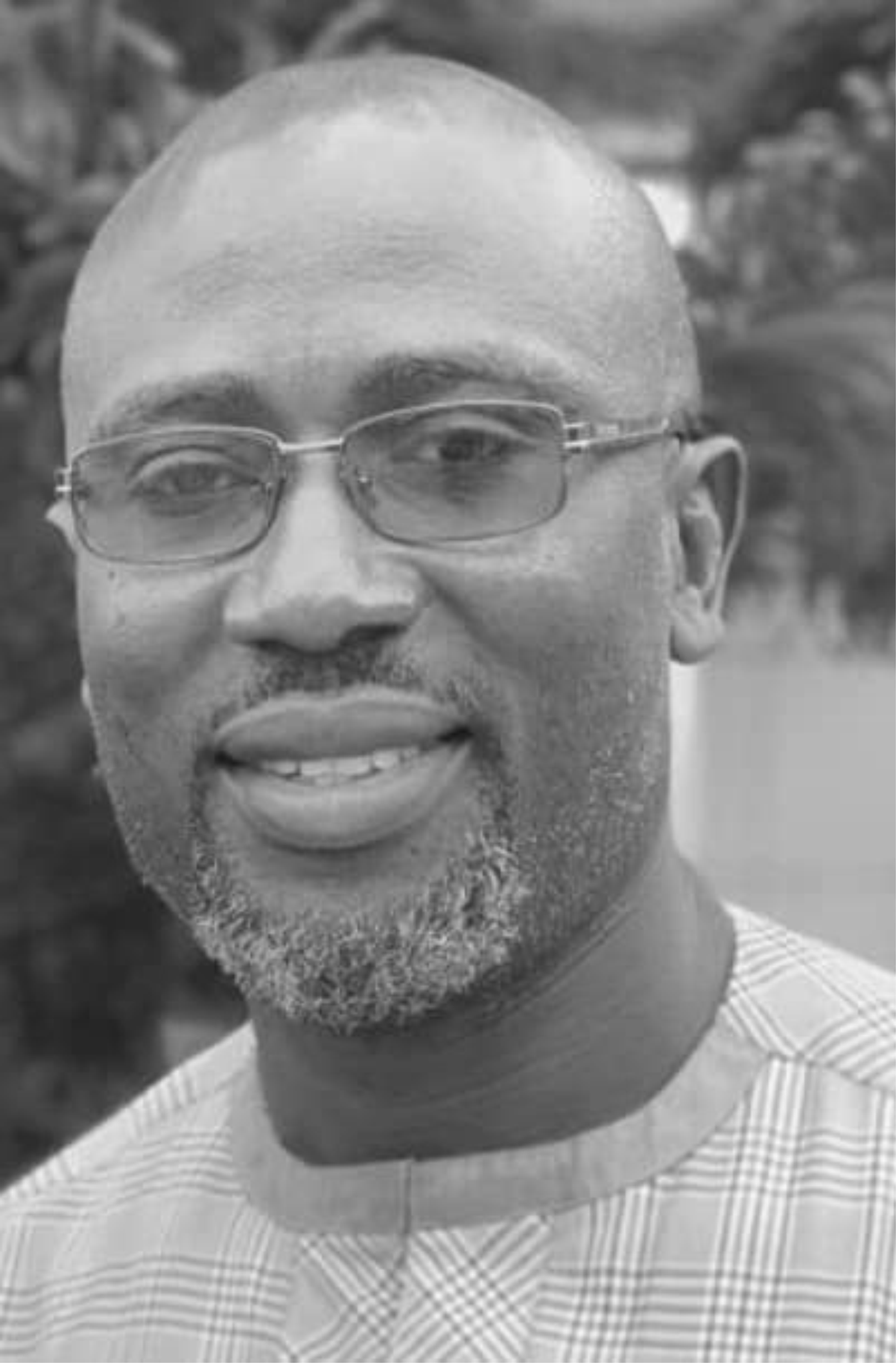 Professor Olufemi Ernest Ojo